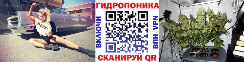 МЕФ Красный Холм