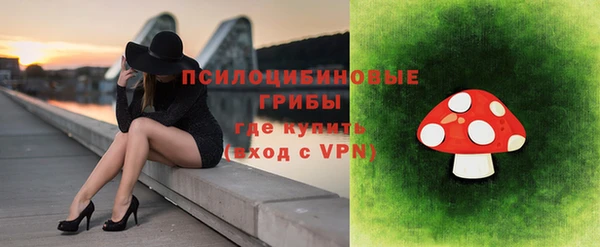 меф Пестово