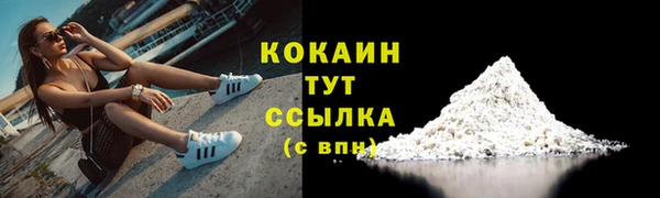 спайс Пересвет