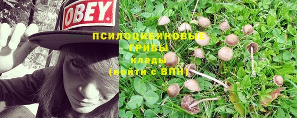 меф Пестово