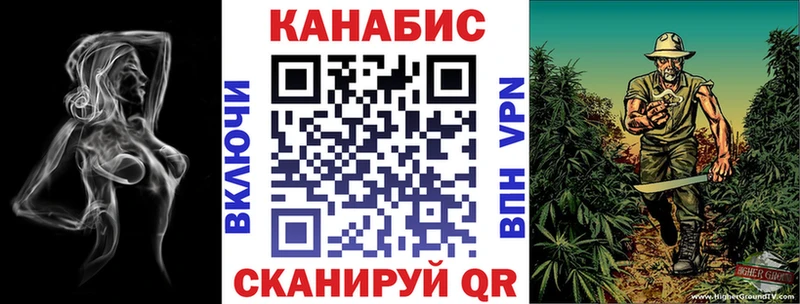 Шишки марихуана Bruce Banner  Красный Холм 